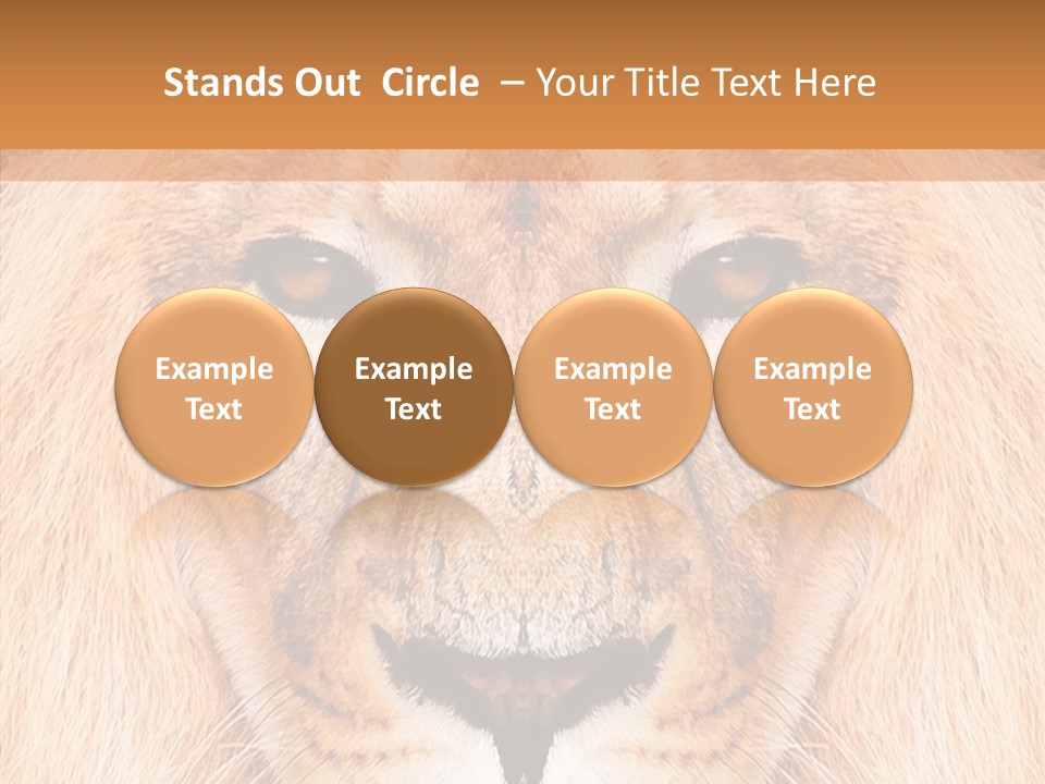 Cunning Zoo Elevated PowerPoint Template