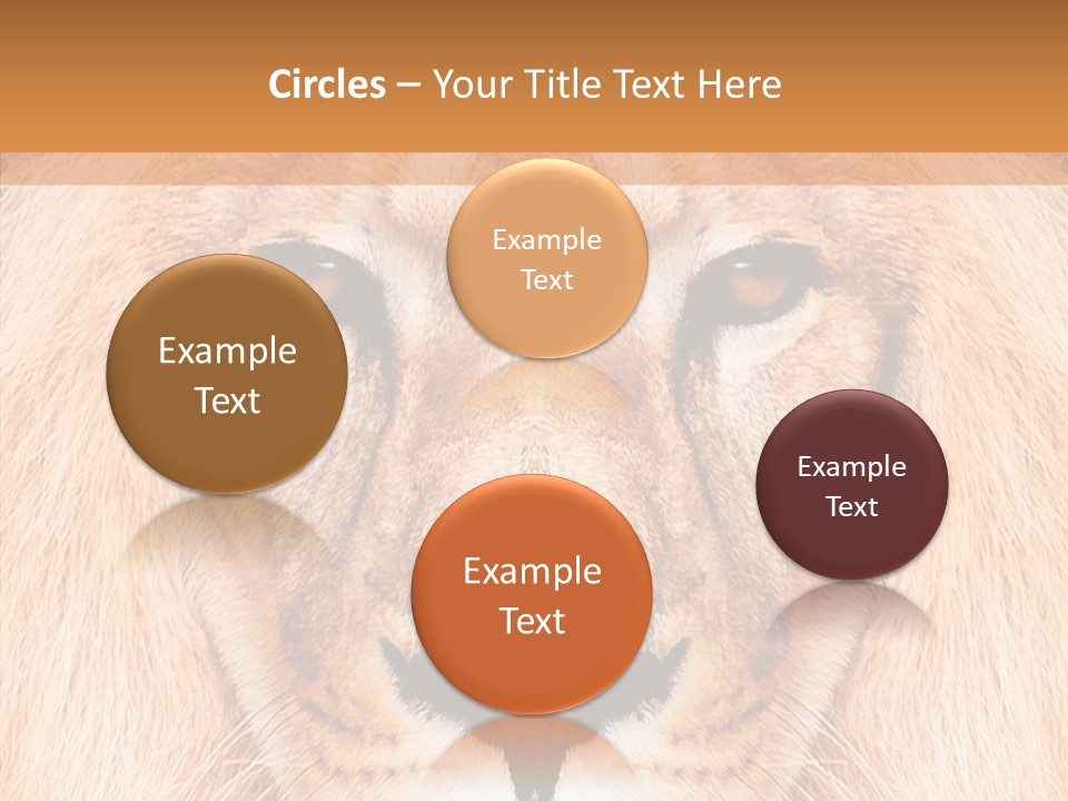 Cunning Zoo Elevated PowerPoint Template