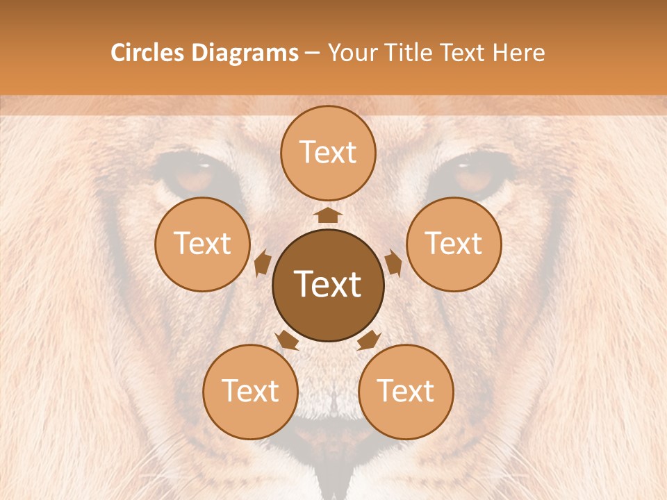Cunning Zoo Elevated PowerPoint Template