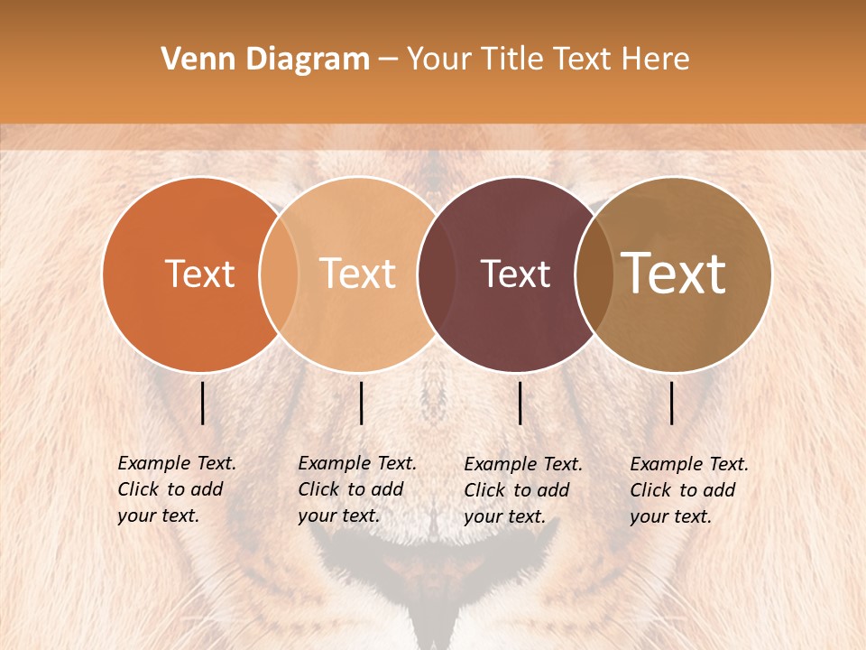Cunning Zoo Elevated PowerPoint Template