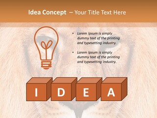 Cunning Zoo Elevated PowerPoint Template