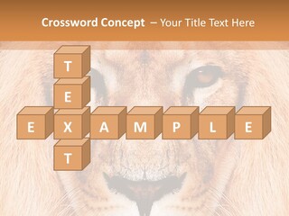 Cunning Zoo Elevated PowerPoint Template