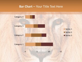 Cunning Zoo Elevated PowerPoint Template