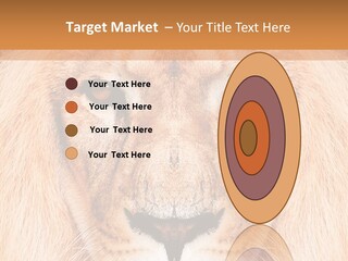 Cunning Zoo Elevated PowerPoint Template