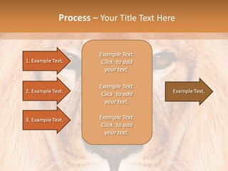 Cunning Zoo Elevated PowerPoint Template