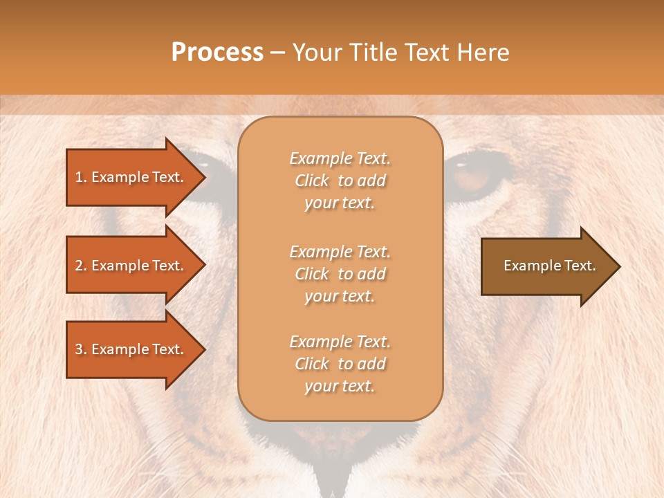 Cunning Zoo Elevated PowerPoint Template