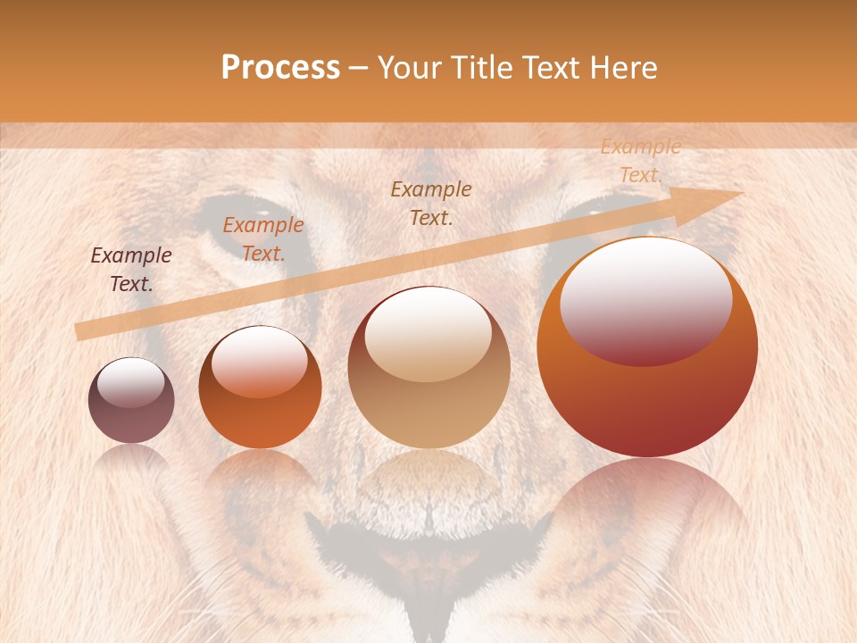 Cunning Zoo Elevated PowerPoint Template