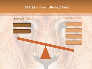 Cunning Zoo Elevated PowerPoint Template