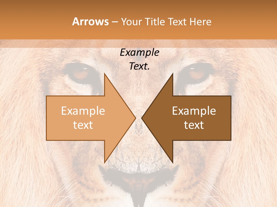 Cunning Zoo Elevated PowerPoint Template