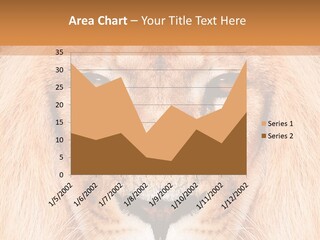 Cunning Zoo Elevated PowerPoint Template