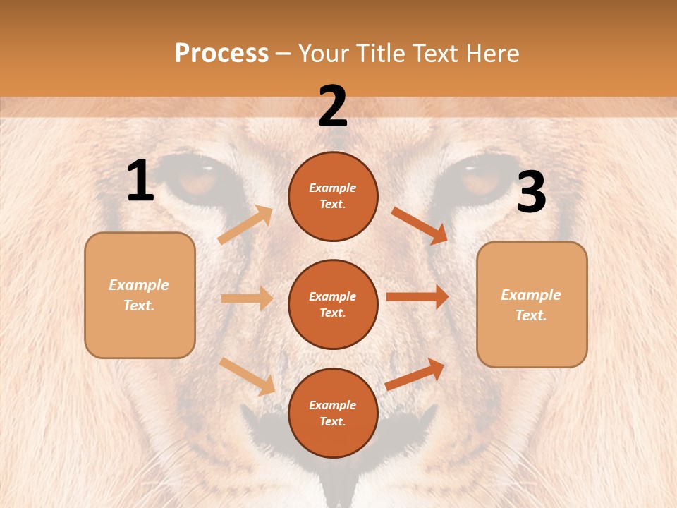 Cunning Zoo Elevated PowerPoint Template