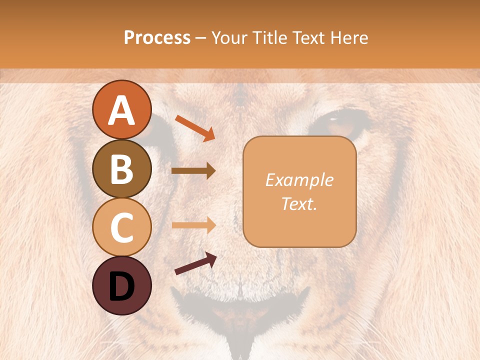 Cunning Zoo Elevated PowerPoint Template