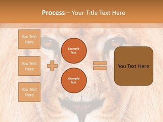 Cunning Zoo Elevated PowerPoint Template