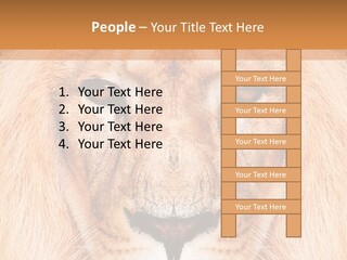 Cunning Zoo Elevated PowerPoint Template