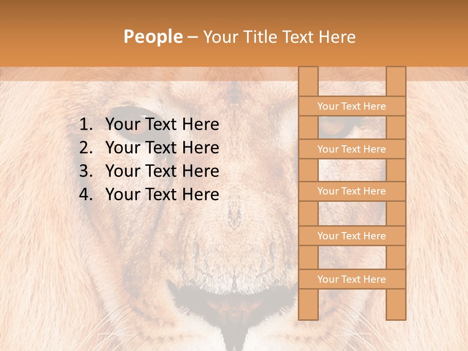 Cunning Zoo Elevated PowerPoint Template