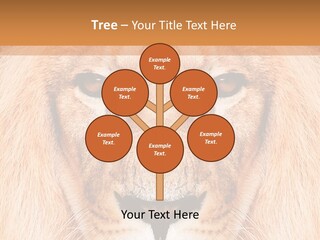 Cunning Zoo Elevated PowerPoint Template