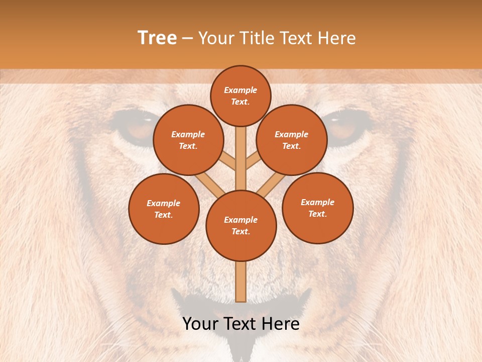 Cunning Zoo Elevated PowerPoint Template