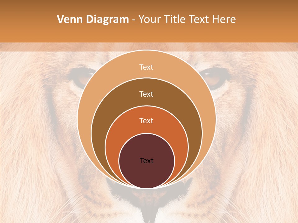 Cunning Zoo Elevated PowerPoint Template