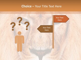 Cunning Zoo Elevated PowerPoint Template