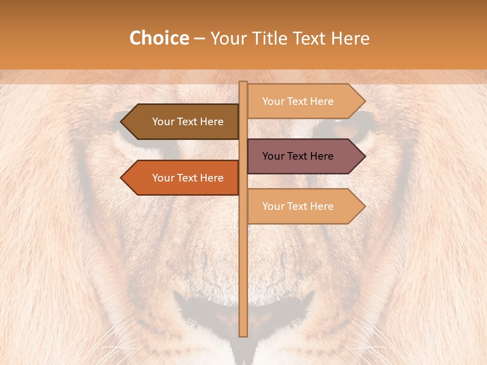 Cunning Zoo Elevated PowerPoint Template