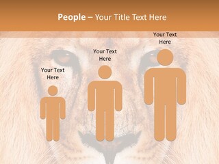 Cunning Zoo Elevated PowerPoint Template