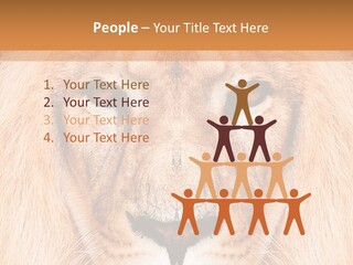 Cunning Zoo Elevated PowerPoint Template