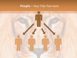 Cunning Zoo Elevated PowerPoint Template