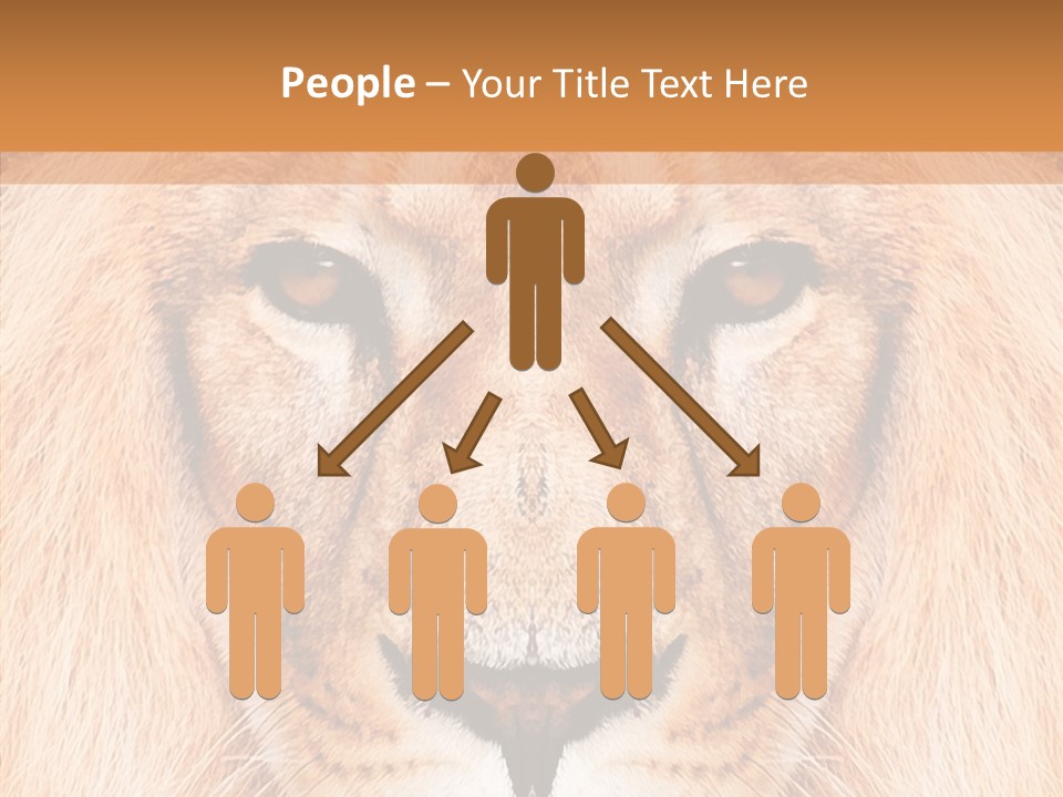 Cunning Zoo Elevated PowerPoint Template