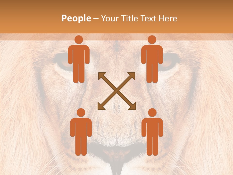 Cunning Zoo Elevated PowerPoint Template
