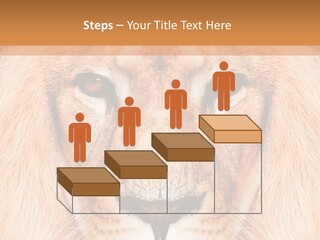 Cunning Zoo Elevated PowerPoint Template