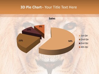 Cunning Zoo Elevated PowerPoint Template