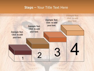 Cunning Zoo Elevated PowerPoint Template