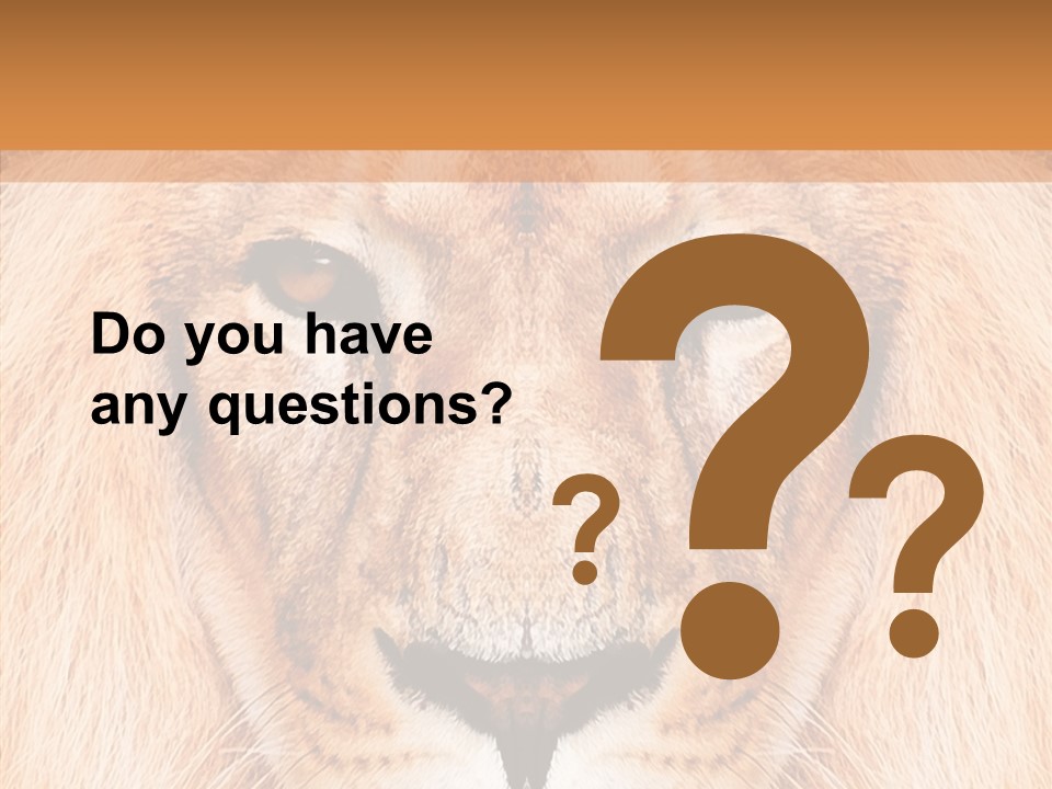 Cunning Zoo Elevated PowerPoint Template
