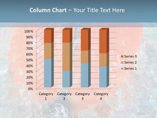 Objects Salmon Cooking PowerPoint Template