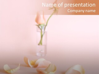 Blossom Beauty Crayon PowerPoint Template