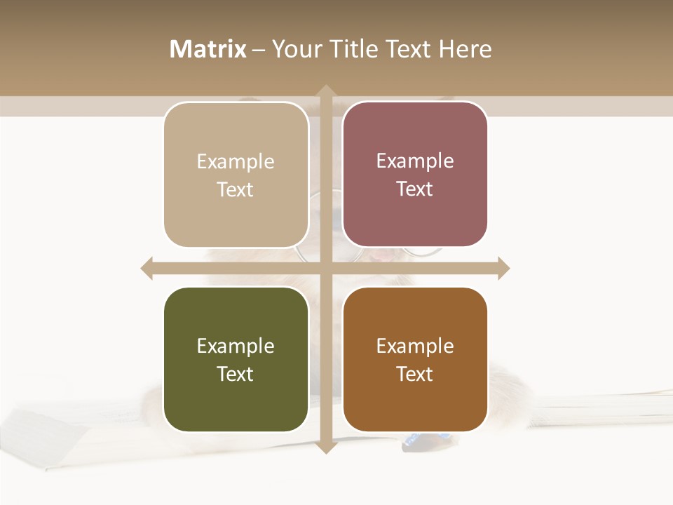 Pretty Pet Whiskers PowerPoint Template