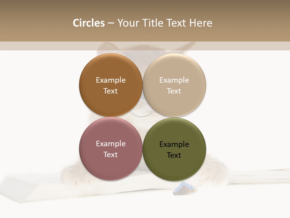 Pretty Pet Whiskers PowerPoint Template