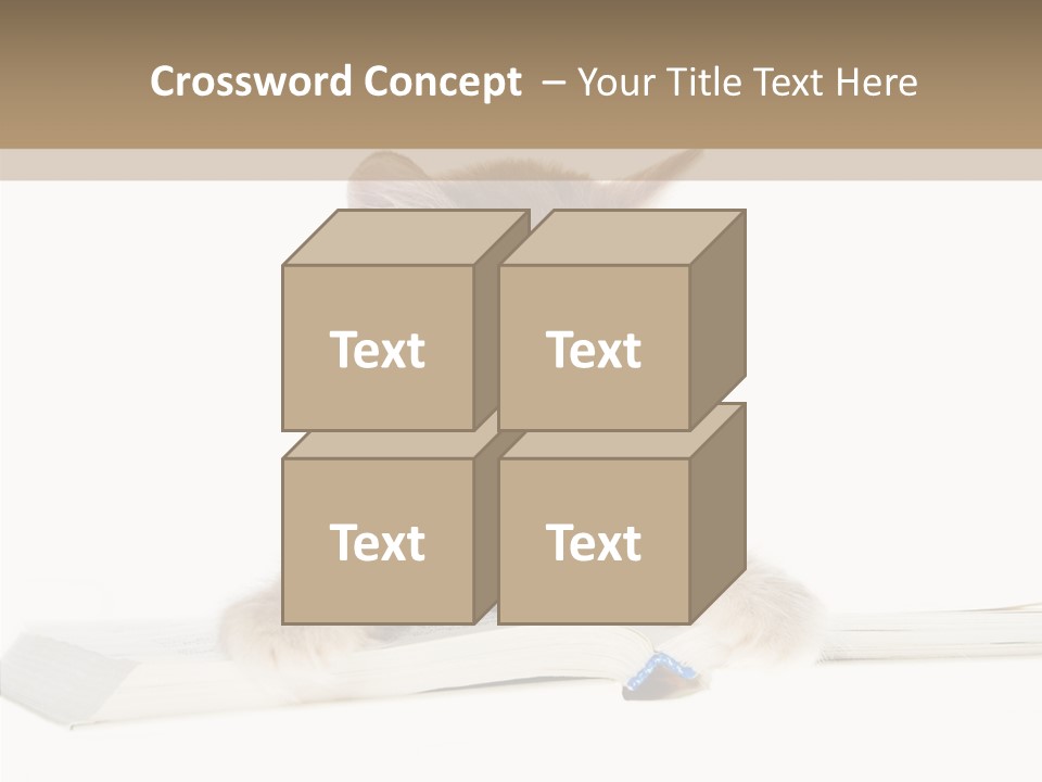 Pretty Pet Whiskers PowerPoint Template