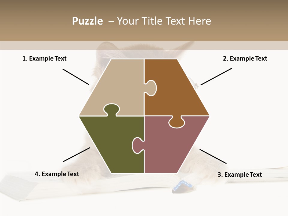 Pretty Pet Whiskers PowerPoint Template