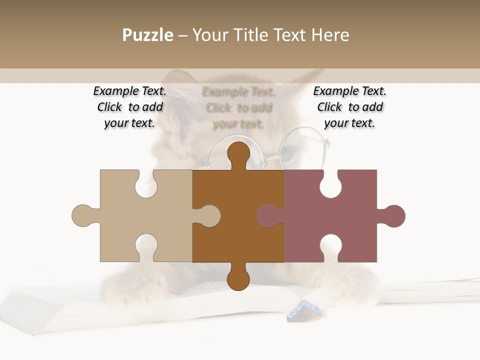 Pretty Pet Whiskers PowerPoint Template