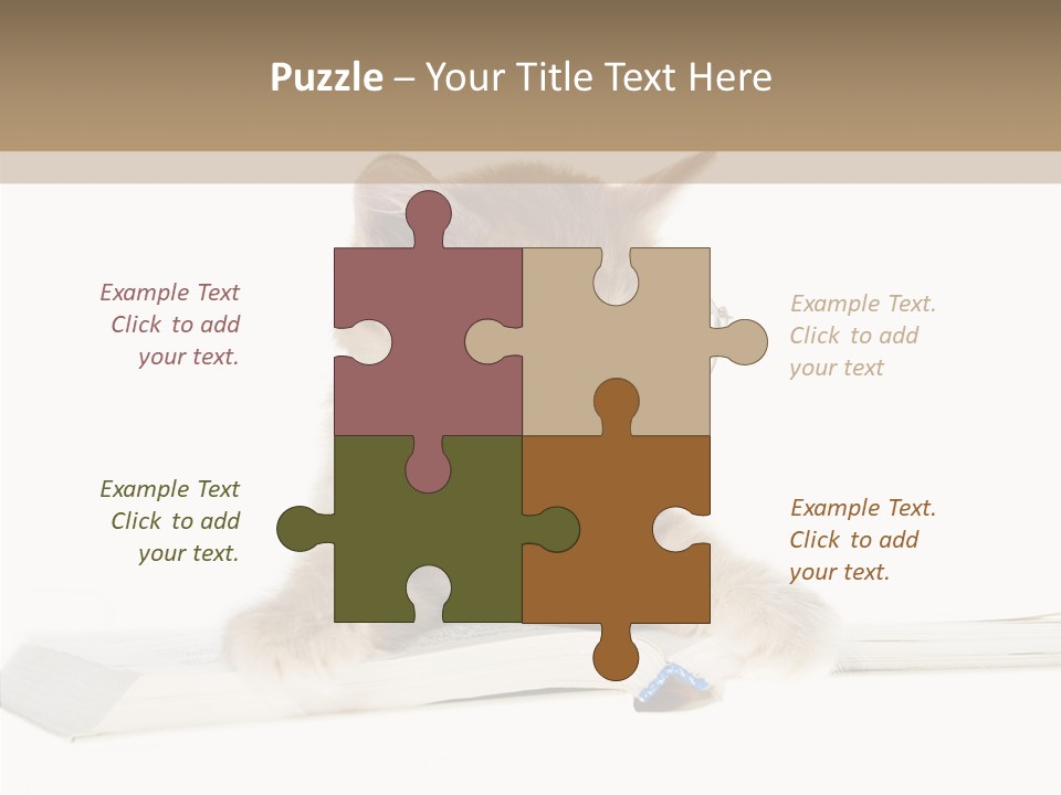 Pretty Pet Whiskers PowerPoint Template