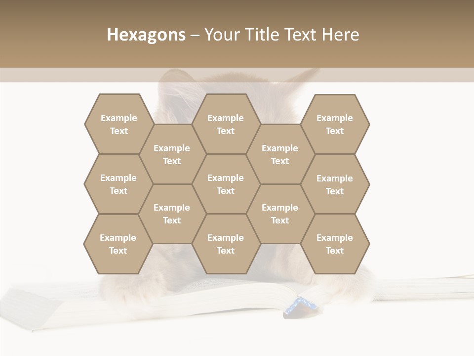 Pretty Pet Whiskers PowerPoint Template