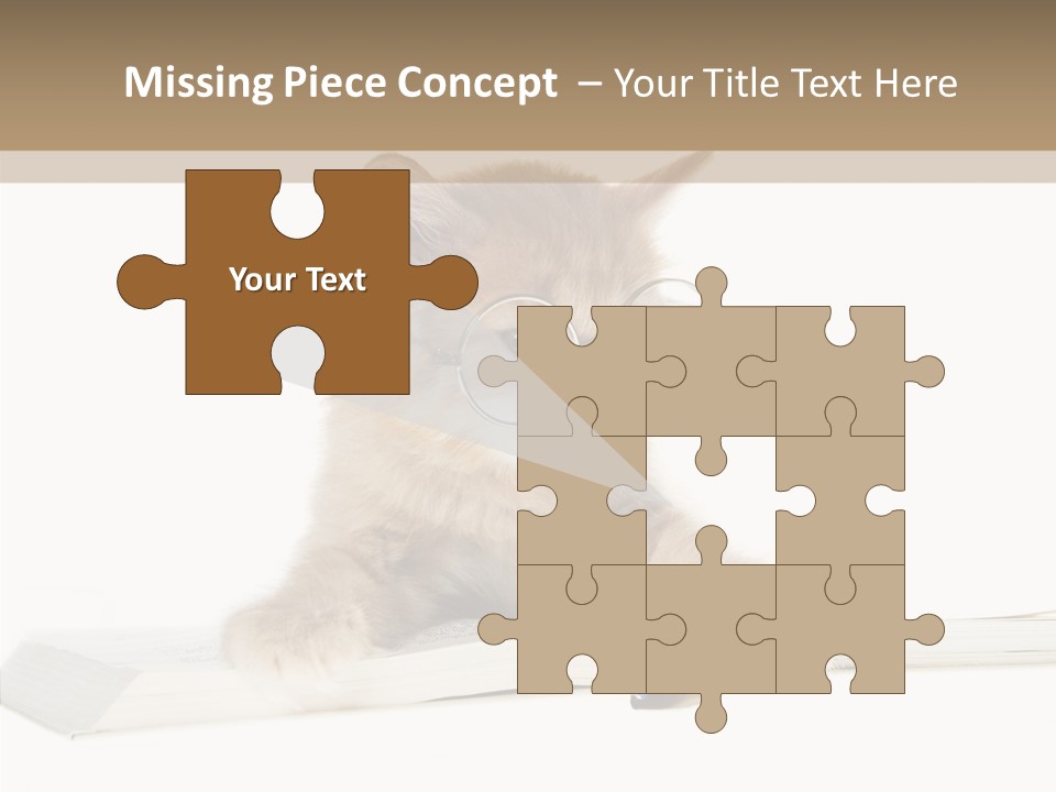 Pretty Pet Whiskers PowerPoint Template