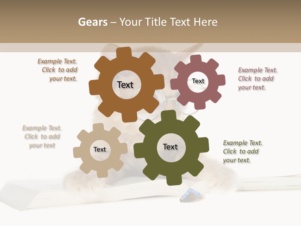 Pretty Pet Whiskers PowerPoint Template