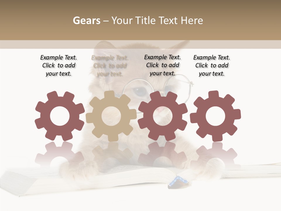 Pretty Pet Whiskers PowerPoint Template