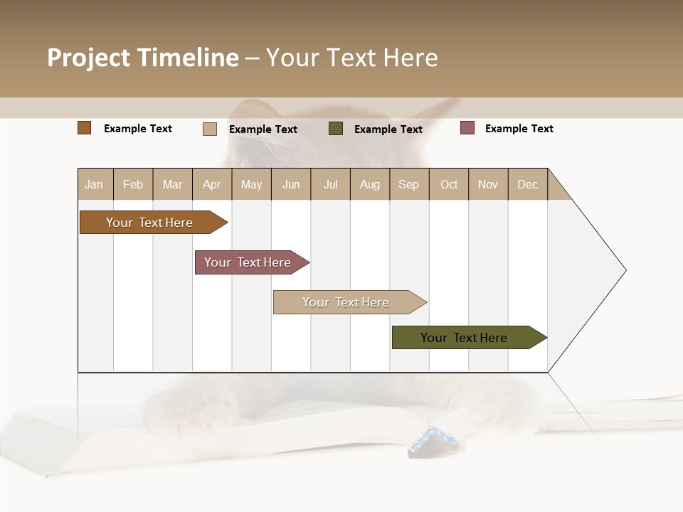 Pretty Pet Whiskers PowerPoint Template