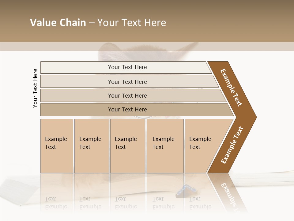 Pretty Pet Whiskers PowerPoint Template