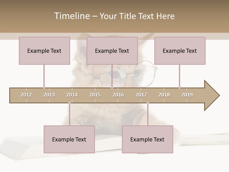 Pretty Pet Whiskers PowerPoint Template