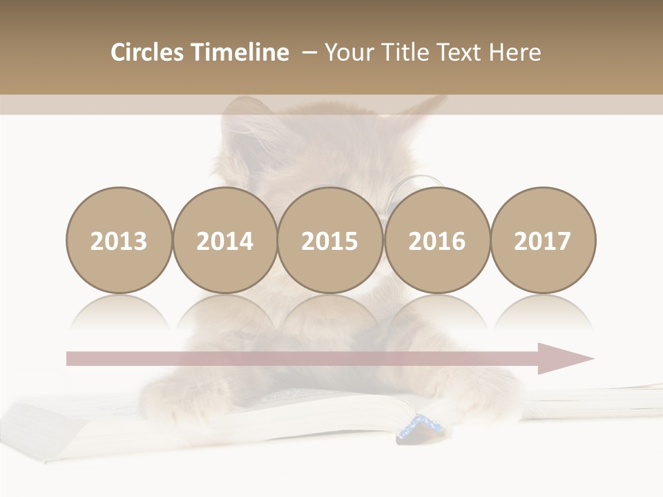 Pretty Pet Whiskers PowerPoint Template