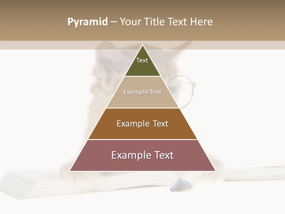 Pretty Pet Whiskers PowerPoint Template